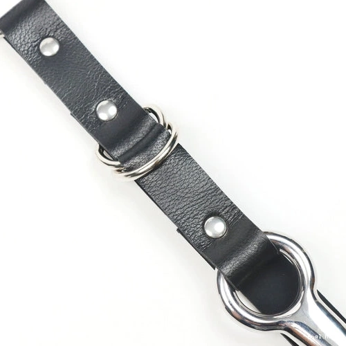 Hook and Kinky Collar EverydayUse with Leash Anal 5853 1030
